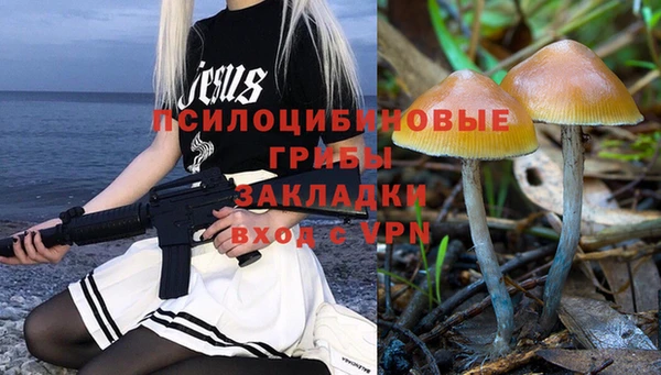 герыч Алексин