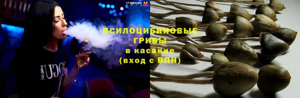Альфа ПВП Алзамай