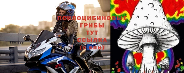 стаф Алексеевка