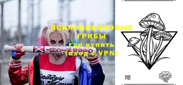 крисы Протвино
