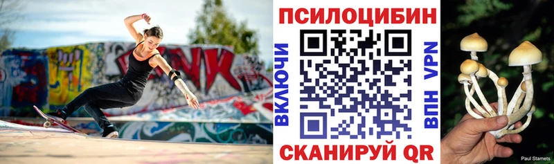 Галлюциногенные грибы мицелий  Кириллов 