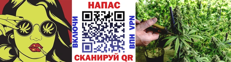 МАРИХУАНА семена  Кириллов 